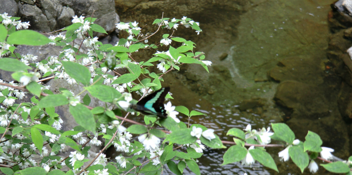 f:id:aw2q:20120512203641j:image f:id:aw2q:20120512203641j:image