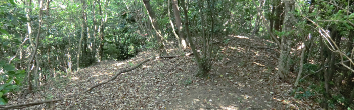 f:id:aw2q:20120512203747j:image f:id:aw2q:20120512203747j:image