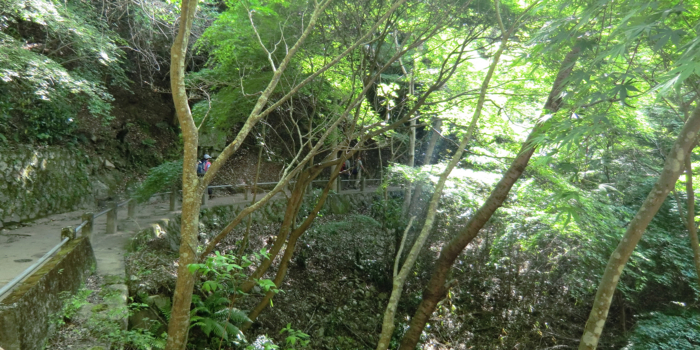 f:id:aw2q:20120512203851j:image f:id:aw2q:20120512203851j:image
