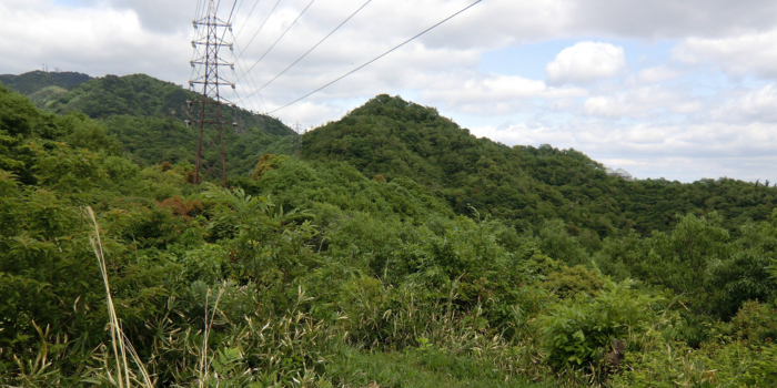 f:id:aw2q:20120513073721j:image