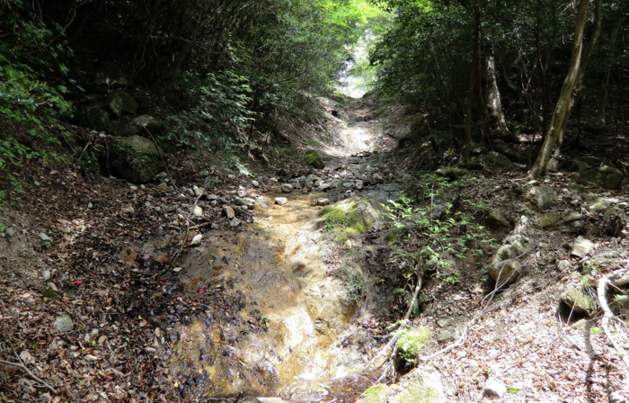 f:id:aw2q:20120514195450j:image