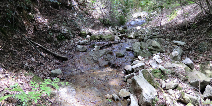 f:id:aw2q:20120514195501j:image