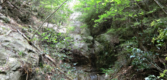 f:id:aw2q:20120514195519j:image