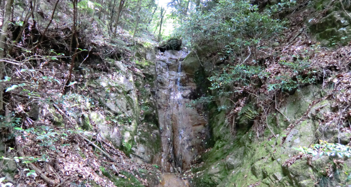 f:id:aw2q:20120514195531j:image