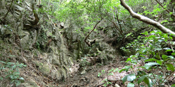 f:id:aw2q:20120514195646j:image