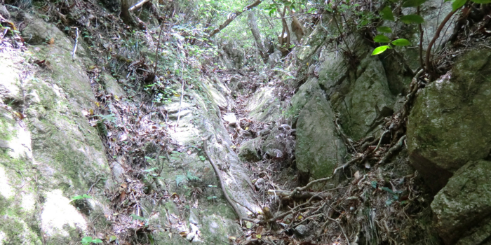 f:id:aw2q:20120514195653j:image