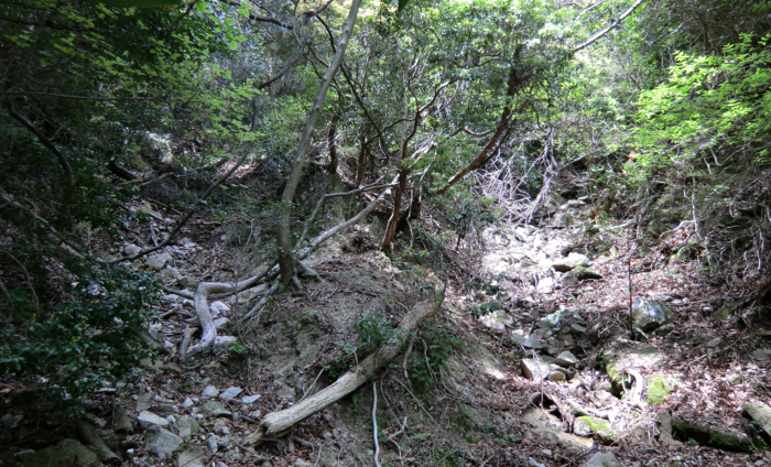 f:id:aw2q:20120514195658j:image