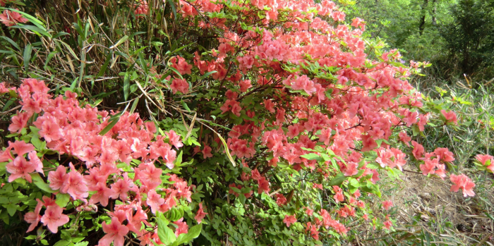 f:id:aw2q:20120515200456j:image f:id:aw2q:20120515200456j:image