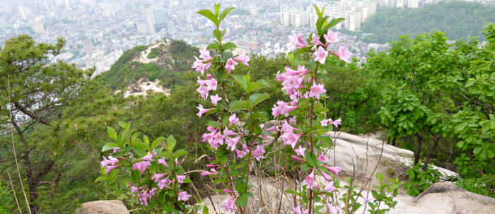 f:id:aw2q:20120518223011j:image f:id:aw2q:20120518223011j:image