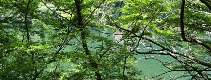 f:id:aw2q:20120519212123j:image f:id:aw2q:20120519212123j:image