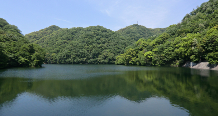 f:id:aw2q:20120519212138j:image f:id:aw2q:20120519212138j:image