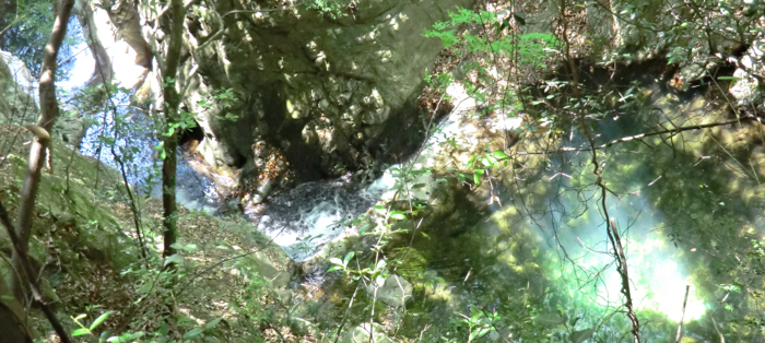 f:id:aw2q:20120519212144j:image f:id:aw2q:20120519212144j:image