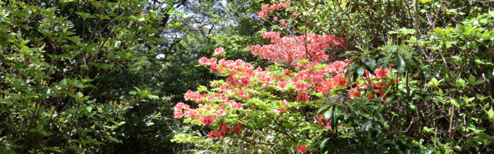 f:id:aw2q:20120519214014j:image f:id:aw2q:20120519214014j:image