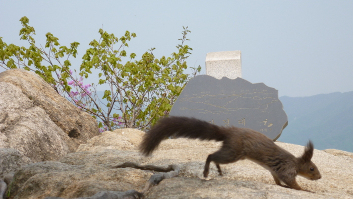 f:id:aw2q:20120523221933j:image