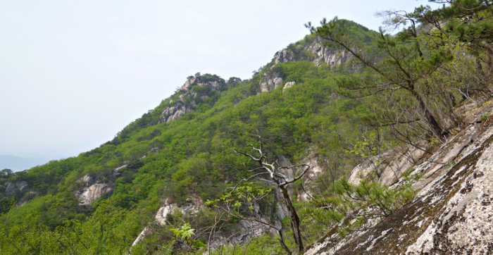 f:id:aw2q:20120525221313j:image