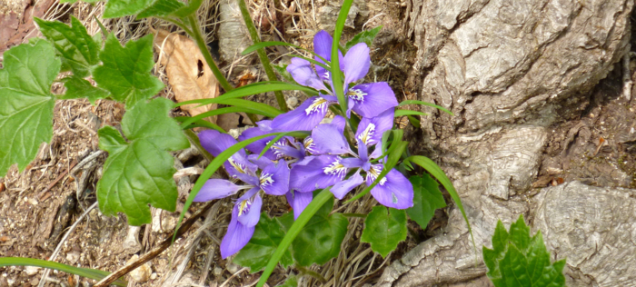 f:id:aw2q:20120525221325j:image