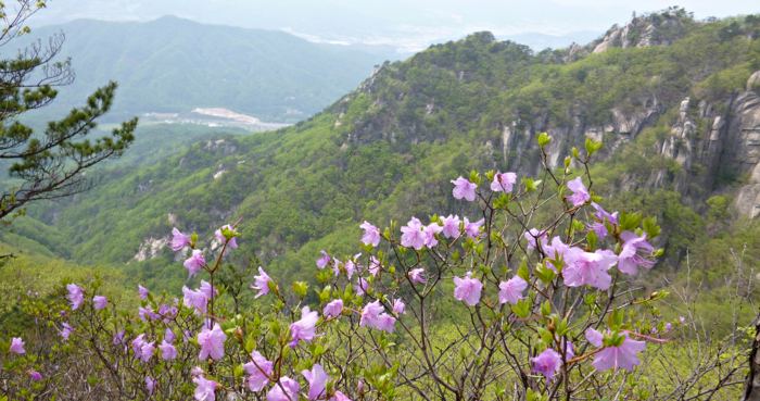 f:id:aw2q:20120525221334j:image