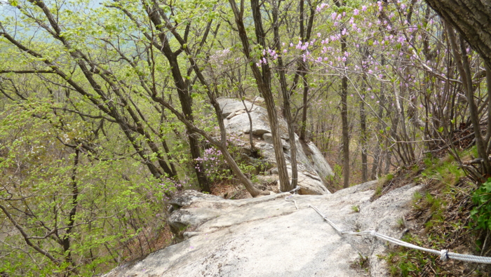 f:id:aw2q:20120525221342j:image