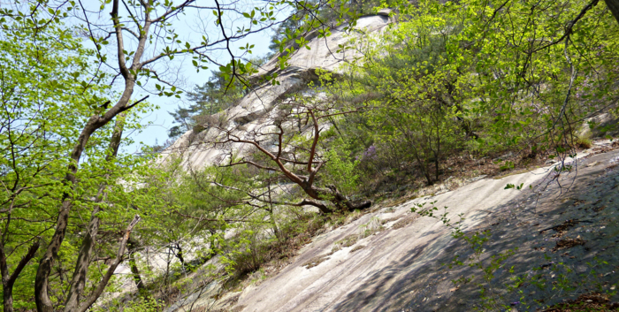 f:id:aw2q:20120526191527j:image