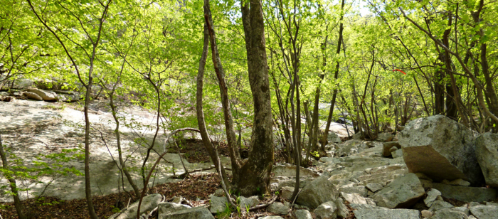 f:id:aw2q:20120526191534j:image