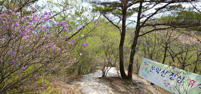 f:id:aw2q:20120526191904j:image