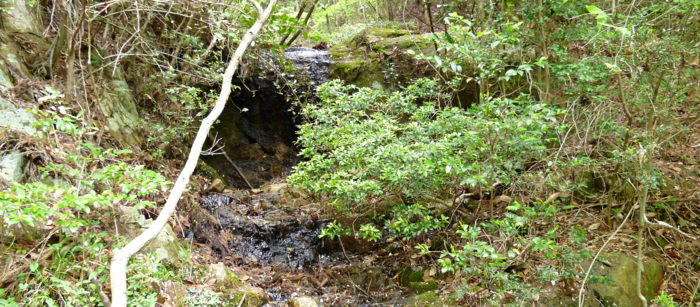 f:id:aw2q:20120526205504j:image