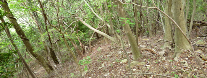 f:id:aw2q:20120526205532j:image