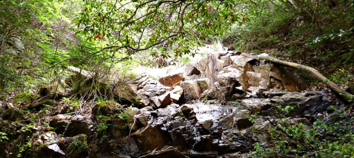 f:id:aw2q:20120526211133j:image