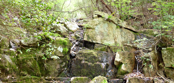 f:id:aw2q:20120526212511j:image