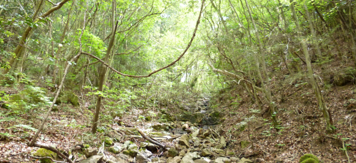 f:id:aw2q:20120526212742j:image