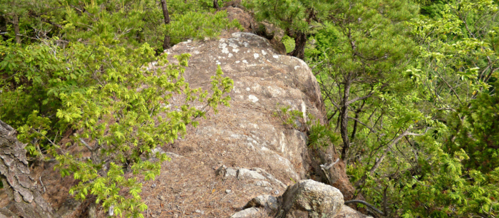 f:id:aw2q:20120527134402j:image