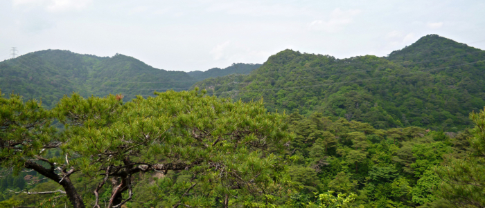 f:id:aw2q:20120527134420j:image