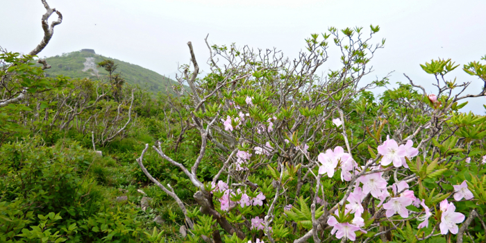 f:id:aw2q:20120811171258j:image