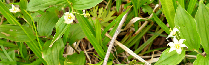 f:id:aw2q:20120811171305j:image