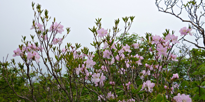 f:id:aw2q:20120811171308j:image