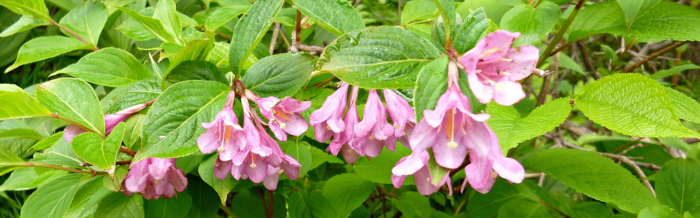 f:id:aw2q:20120811171316j:image