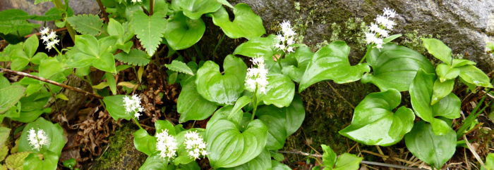 f:id:aw2q:20120811171320j:image