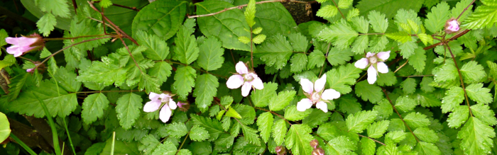 f:id:aw2q:20120811171325j:image