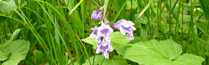 f:id:aw2q:20120811171329j:image