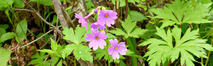 f:id:aw2q:20120811171332j:image