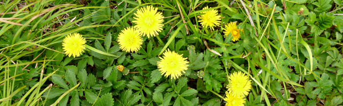 f:id:aw2q:20120811171626j:image