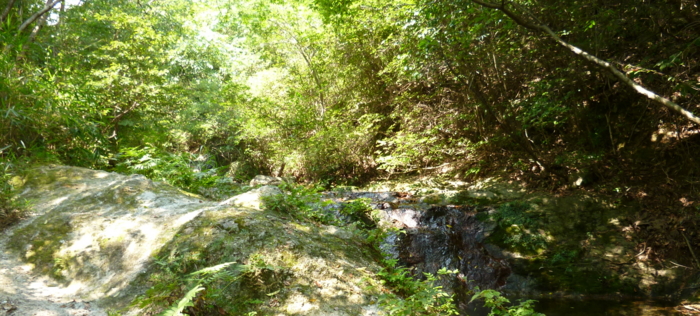 f:id:aw2q:20120818215411j:image