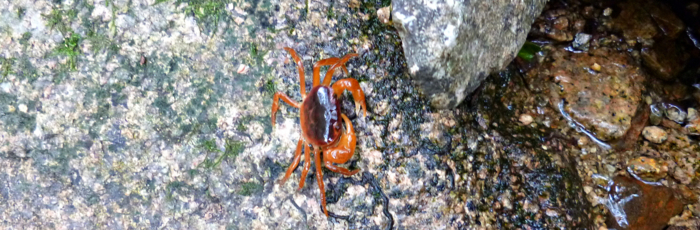 f:id:aw2q:20121013192707j:image