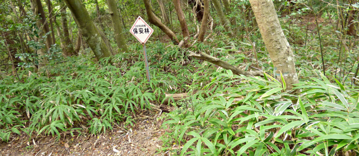 f:id:aw2q:20121013192731j:image