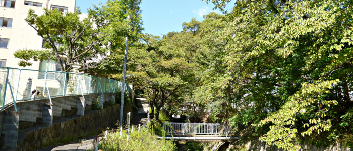 f:id:aw2q:20121013192759j:image
