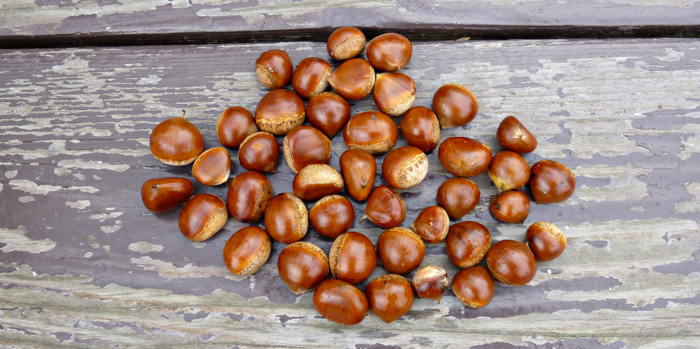 f:id:aw2q:20121013204213j:image