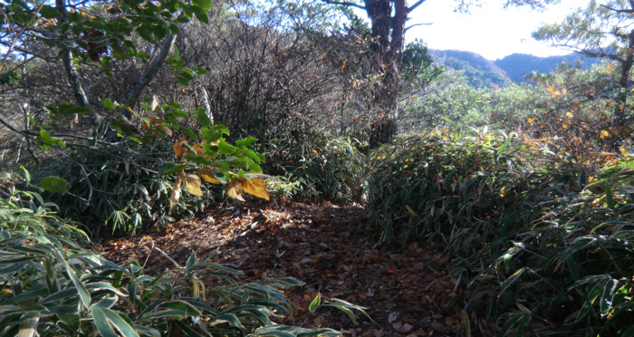 f:id:aw2q:20121201170202j:image
