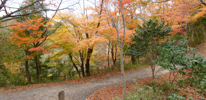 f:id:aw2q:20121201185244j:image