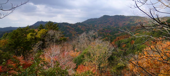 f:id:aw2q:20121201185254j:image
