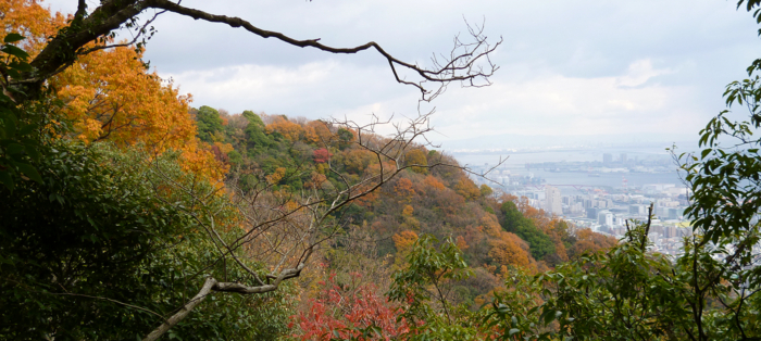 f:id:aw2q:20121201185311j:image